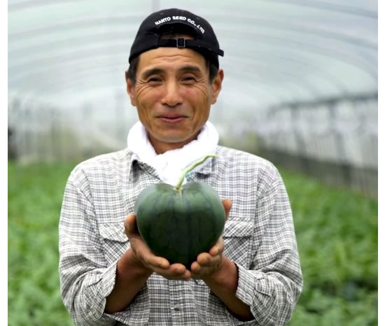 Japanese Farmer Grows Worlds First Heart Shaped Watermelon Fareastgizmos 